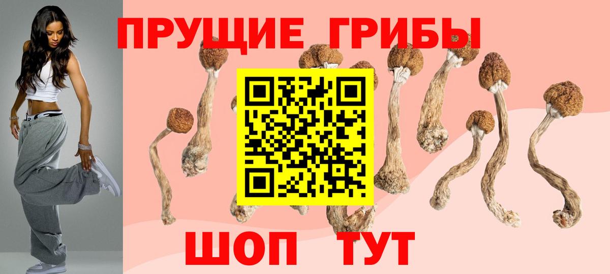 Галлюциногенные грибы мицелий Электрогорск